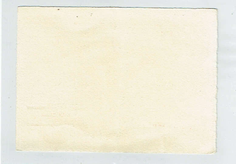 Foto 2 di 2