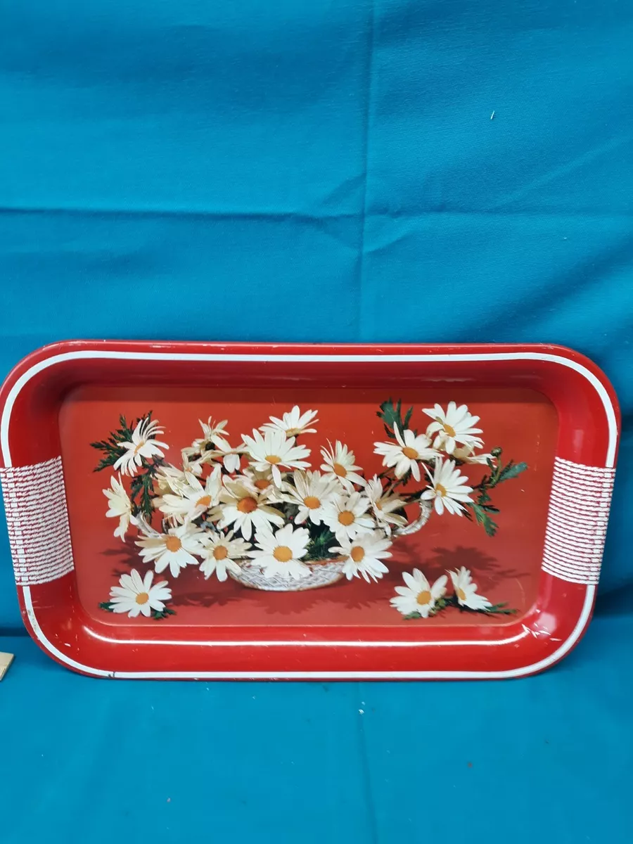 Modern tv dinner sale trays