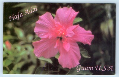 Hafa Adai - Hibiscus Flower - GUAM Postcard