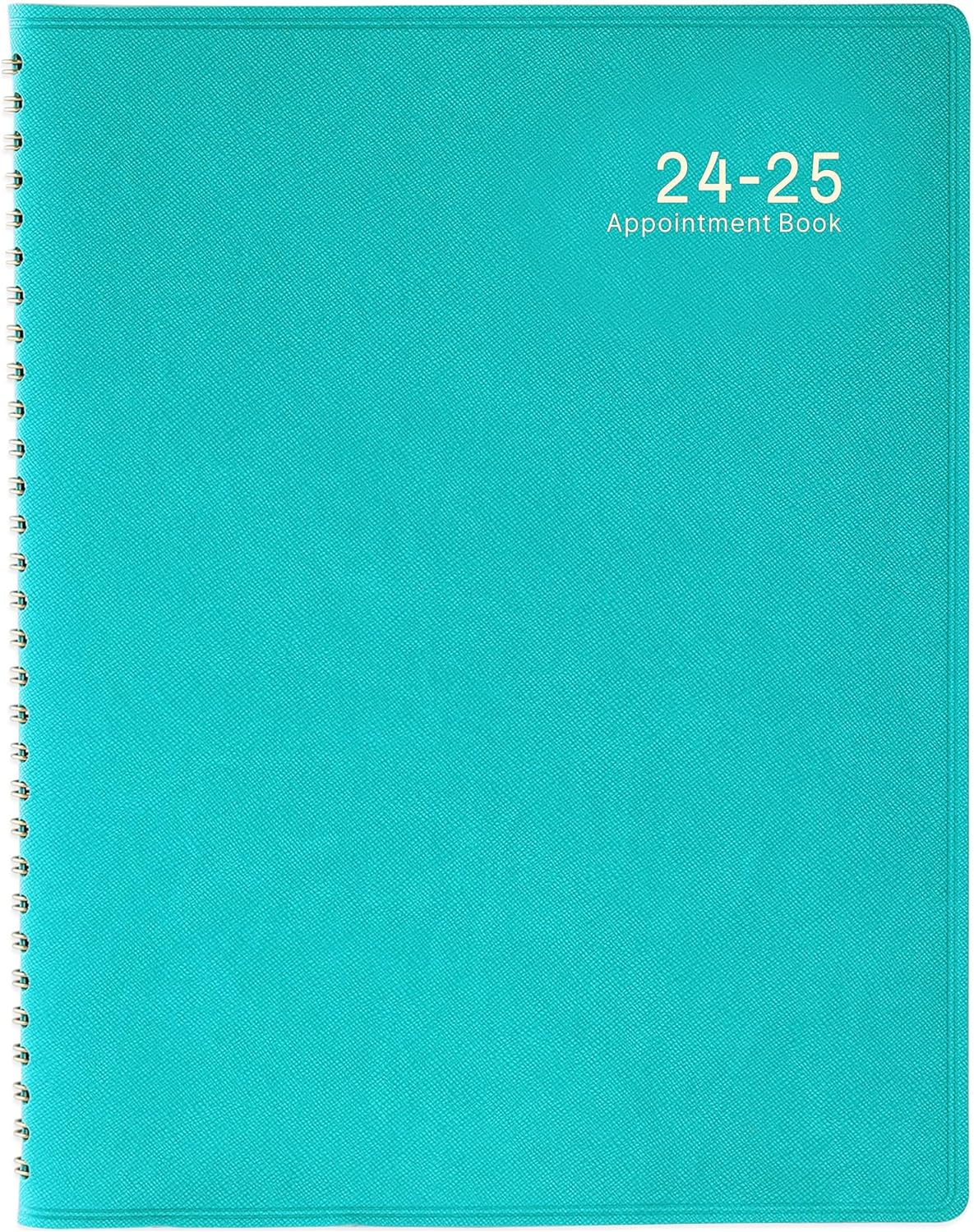 2024 Weekly Appointment Book/Planner - 53 Weeks Daily Planner, January - Decembe