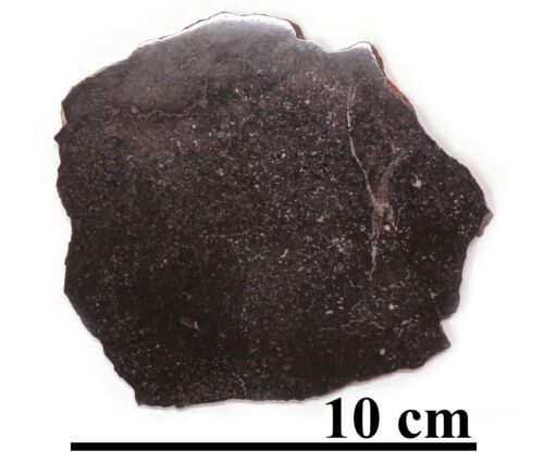 NEW! Tsarev meteorite L5, Russia, excellent slice 91 grams - Picture 1 of 4