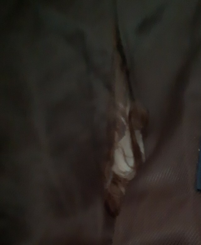 Zara  Basic Women's Down Jacket Coat Uk Size M  F… - image 3