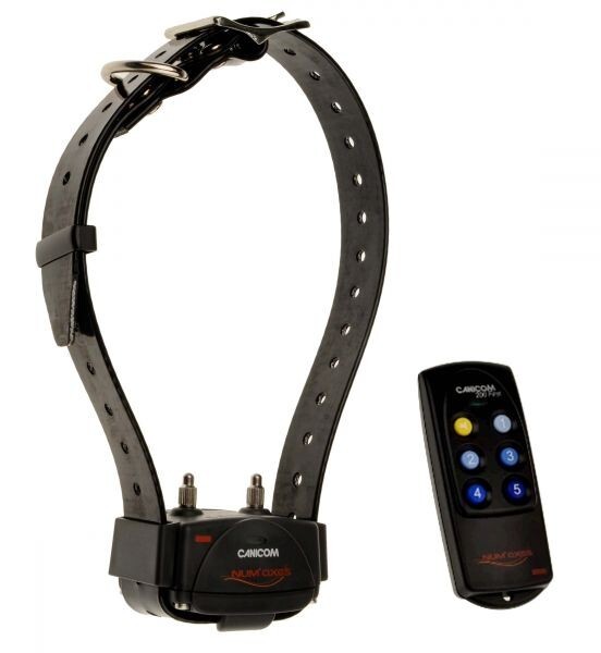 Collier de dressage Chien Noir NUMAXES Canicom 200 First Livraison Offerte