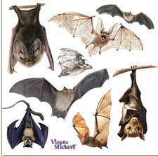 Violette Stickers Halloween Ghosts Bats Pumpkins Crafts Planner Supply