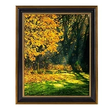 16x20 Picture Frame without Mat for Poster/Photo Classic Black and Ornate Gold