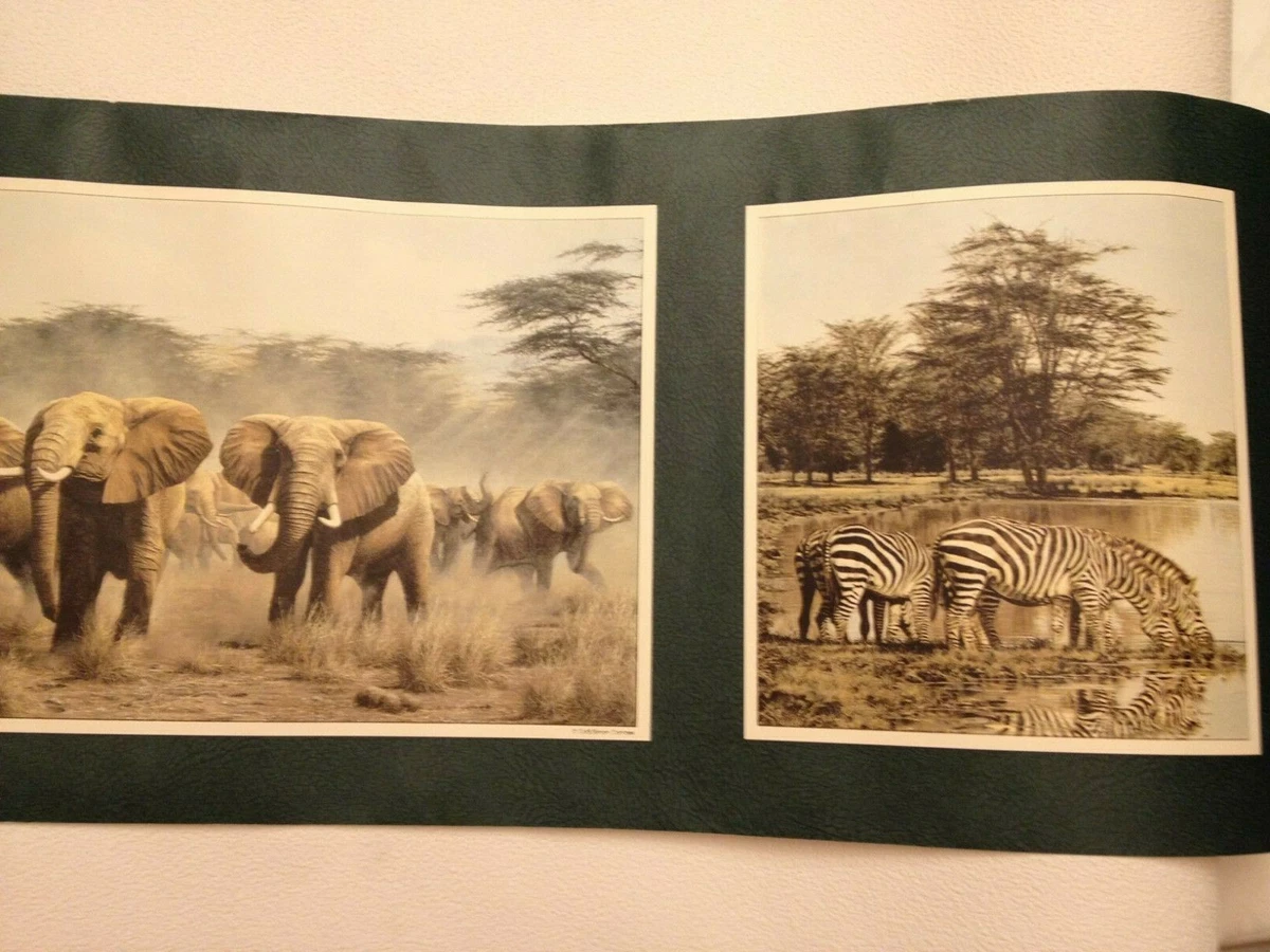Animal Print Wall Border