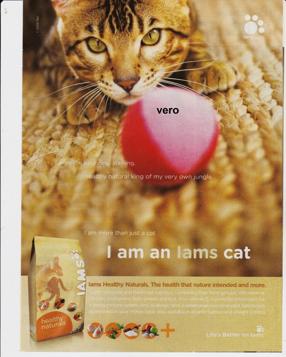IAMS cat food ad vtg 2008 print clipping HEALTHY NATURALS playing