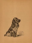 Vintage Lucy Dawson Cocker Spaniel Print Wall Art Decor 1930s Dog Art 6550m