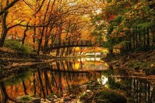 Landscape nature water trees forest river bridge fall Custom Gaming Mat Desk