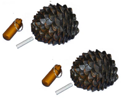 GEO-VERSAND 2 x Escondite de Geocaching Conos de Abeto - Escondite D5 Extrañoso Geocaché Bosque