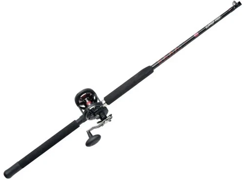 Saltwater Fishing Rod & Reel Combos for sale - eBay