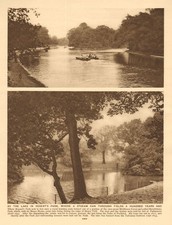 By the lake in Regent's Park 1926 old vintage print picture