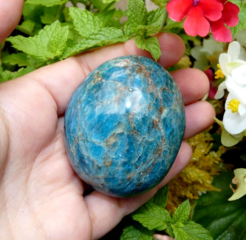 Galet Apatite Bleu Naturel - 5.5x4.5cm mineral collection pierre lithothérapie - Photo 1/4