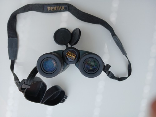 Pentax Binoculars 10x43 DCF ED Phase Coating Roof Prism - excellent condition - Picture 4 of 4