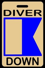 Lo-Viz Tan Personalized "Diver Down" Alpha Flag Luggage/Gear Bag Tag