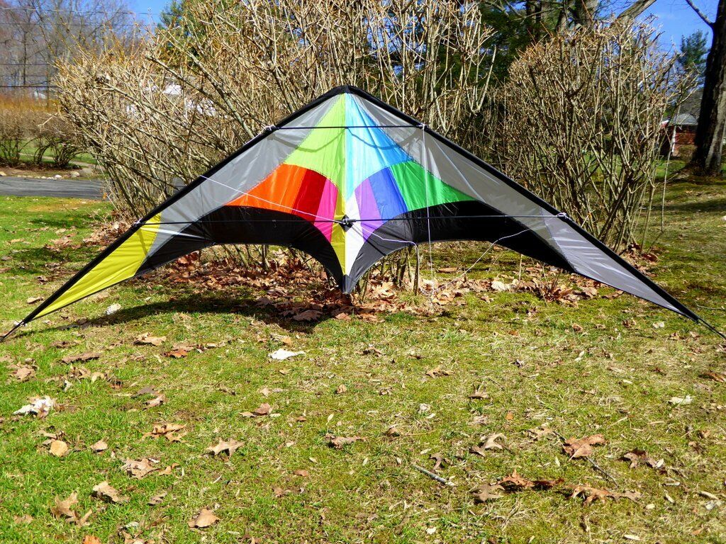  In the Breeze Colorwave Stunt Kite - Dual Line Sport