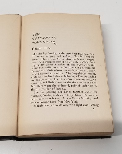 The Perennial Bachelor by Anne Parrish 1925 Hard Cover Seventh Printing - Imagen 9 de 12