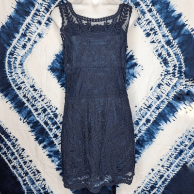 Express Blue Lace Shift Pencil Dress Small | eBay Express Blue Lace Shift Pencil Dress Small | eBay
