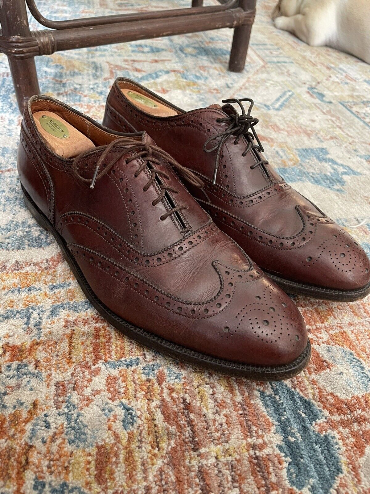 ALDEN 902 Burgundy Wingtip Leather Size 11.5 A/C … - image 1