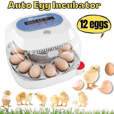 12 Egg Incubators for Hatching Eggs, Digital Poultry Hatcher Automatic Turning 
