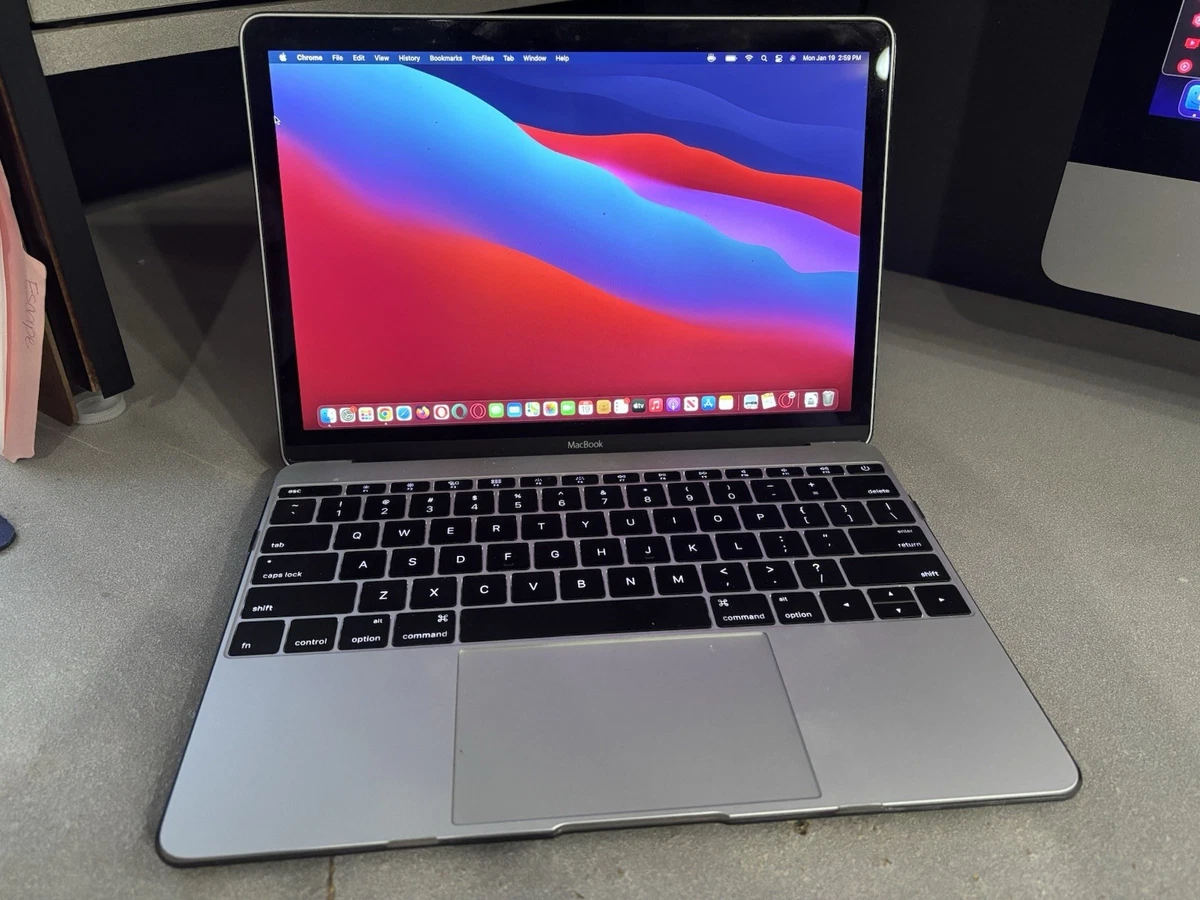 N*g様 MacBook Retina, 12-inch, Early 2015 MacBook (Retina, 12-inch, Early 2015) - Technical Specifications