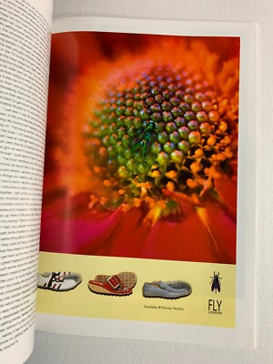 額装済/The Face Magazine/アートポスター 額装済/The Face Magazine Leonardo/アートポスター