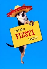 Funny BIRTHDAY Card, Cute Chihuahua Dog Sombrero Fiesta by American Greetings +✉