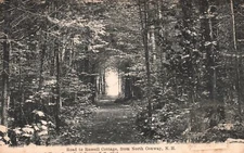 Road to Russel Cottage Forest North Conway New Hampshire NH Vintage Postcard