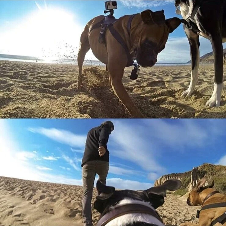 GoPro Dog Harness Mount Adjustable Fit for All Hero Models Black