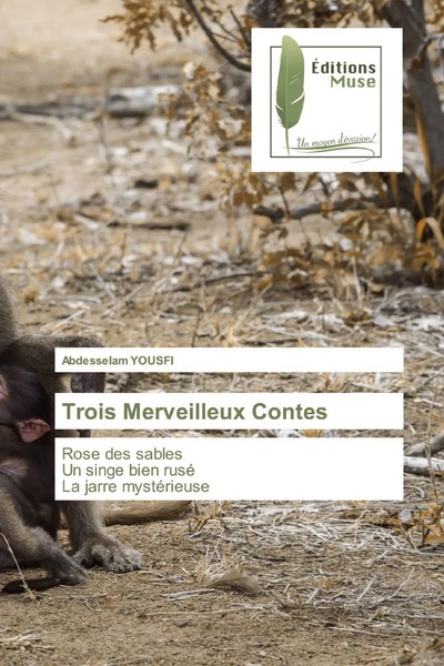 Abdesselam Yousfi | Trois Merveilleux Contes | Taschenbuch | FranzöSisch (2020)-image