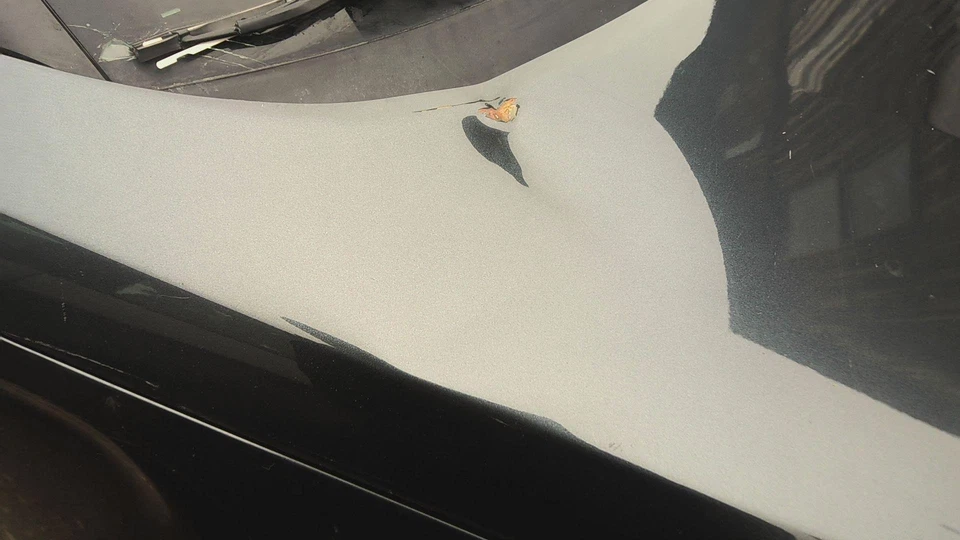 20 KIA SOUL Hood Gravity Greykdgdent Foto 4 de 4