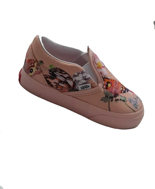 molo vans
