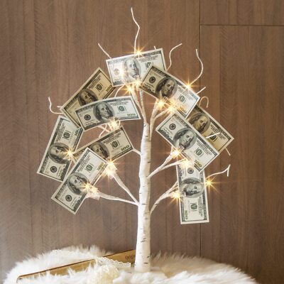 Money Tree Gift Holder Lighted Birch Tree 2FT 24LED Battery/USB Powered  Timer... | eBay