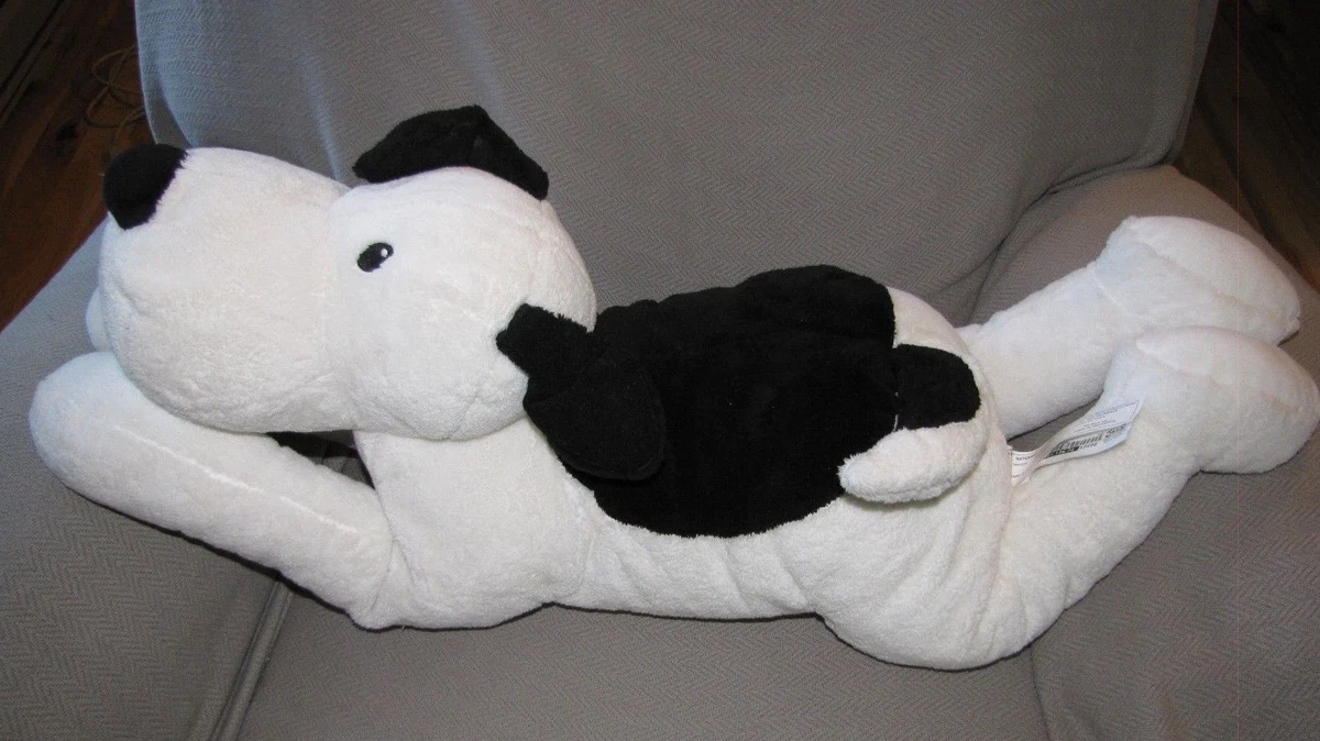 Beagle dogspot hotsell