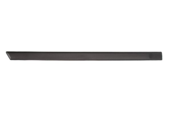 Right Rear BLIC 5703-04-2564478P Trim/Protection Strip, wing for FORD
