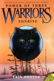 Warriors: Power of Three #6: Sunrise von Erin Hunter | Buch | Zustand gut