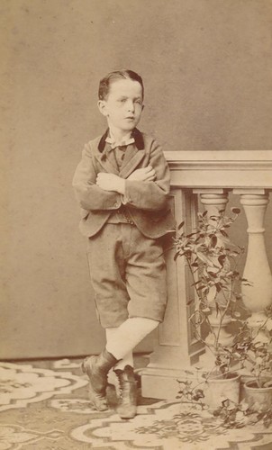 CDV Antik Foto Carte Besuch kleiner Junge gekreuzte Arme Beine Pflanzen Requisite Germany - Bild 5 von 6