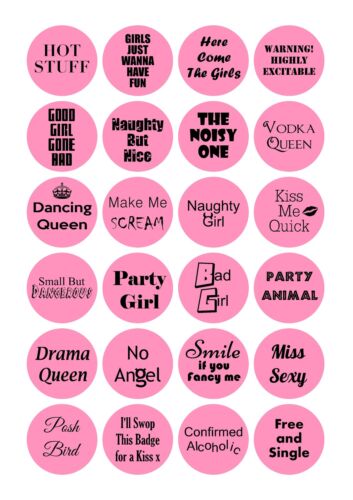 24 Different Sayings Hen Night Stickers gift bags favours girls night out  - Afbeelding 1 van 3