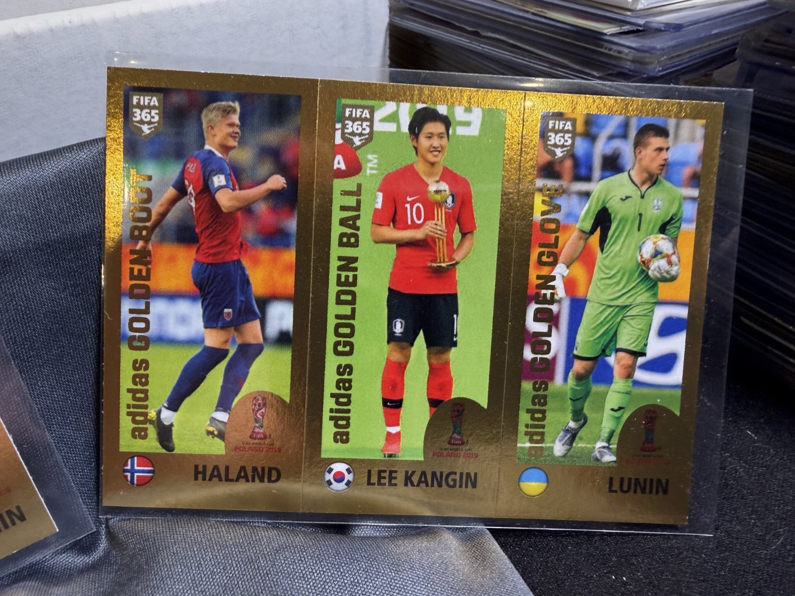2019 Panini FIFA 365 Erling Haaland RC Sticker 421 GRAY Back & 427 BLUE Back view 2