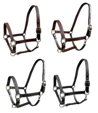 Brown/Black leather MINI track show halter-Nickle plated or Brass Fitting Option