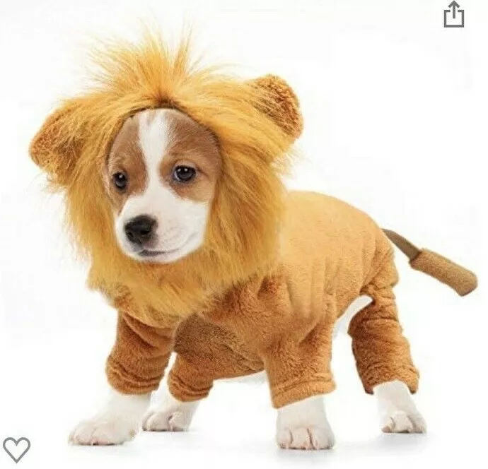 Dog lion costume deals