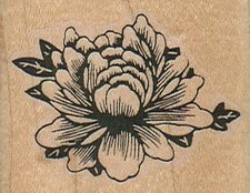 Rose in Bloom 2 x 1 1/2" Rubber Stamp, Plant Stamp, Flowers Stamp