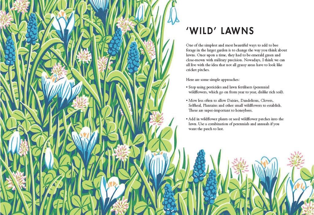 9781787131460 Planting for Honeybees The Grower's Guide to Creating