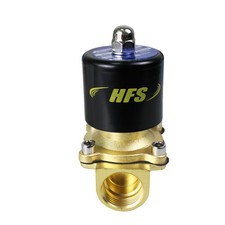 HFS(R) 110V Ac 3/4 Electric Solenoid Valve Wa...