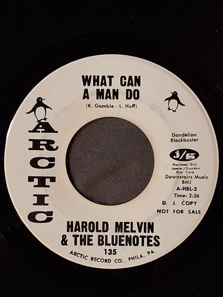 HAROLD MELVIN & THE BLUENOTES   Go Away / What Can A Man Do   ARCTIC 135  M-  DJ - Image 2 of 2