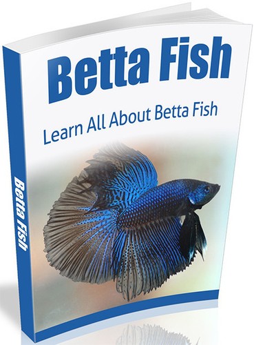 Betta-Fish-eBook-10-Free-eBooks-With-Resell-rights-PDF