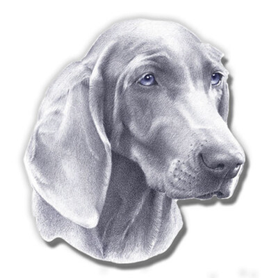 Weimaraner Magnet Wooden