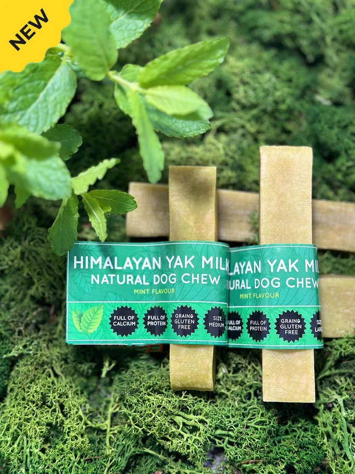 FLOPPY EAR LTD Mint Flavour Yak Dog Chew