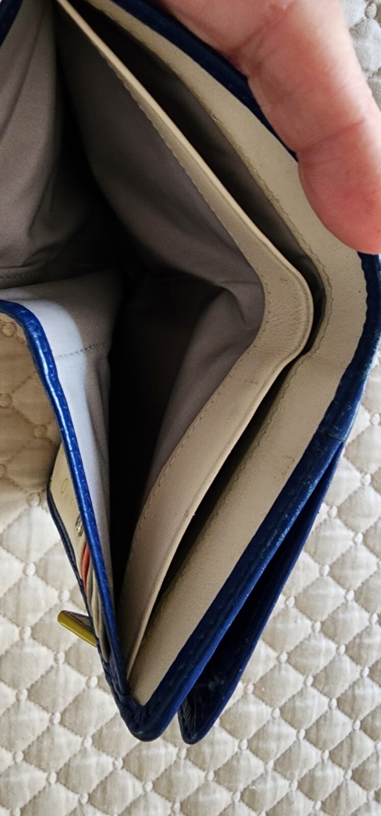 RADLEY LONDON LIFE GIVES YOU LEMONS BLUE MEDIUM BIFOL… Gem