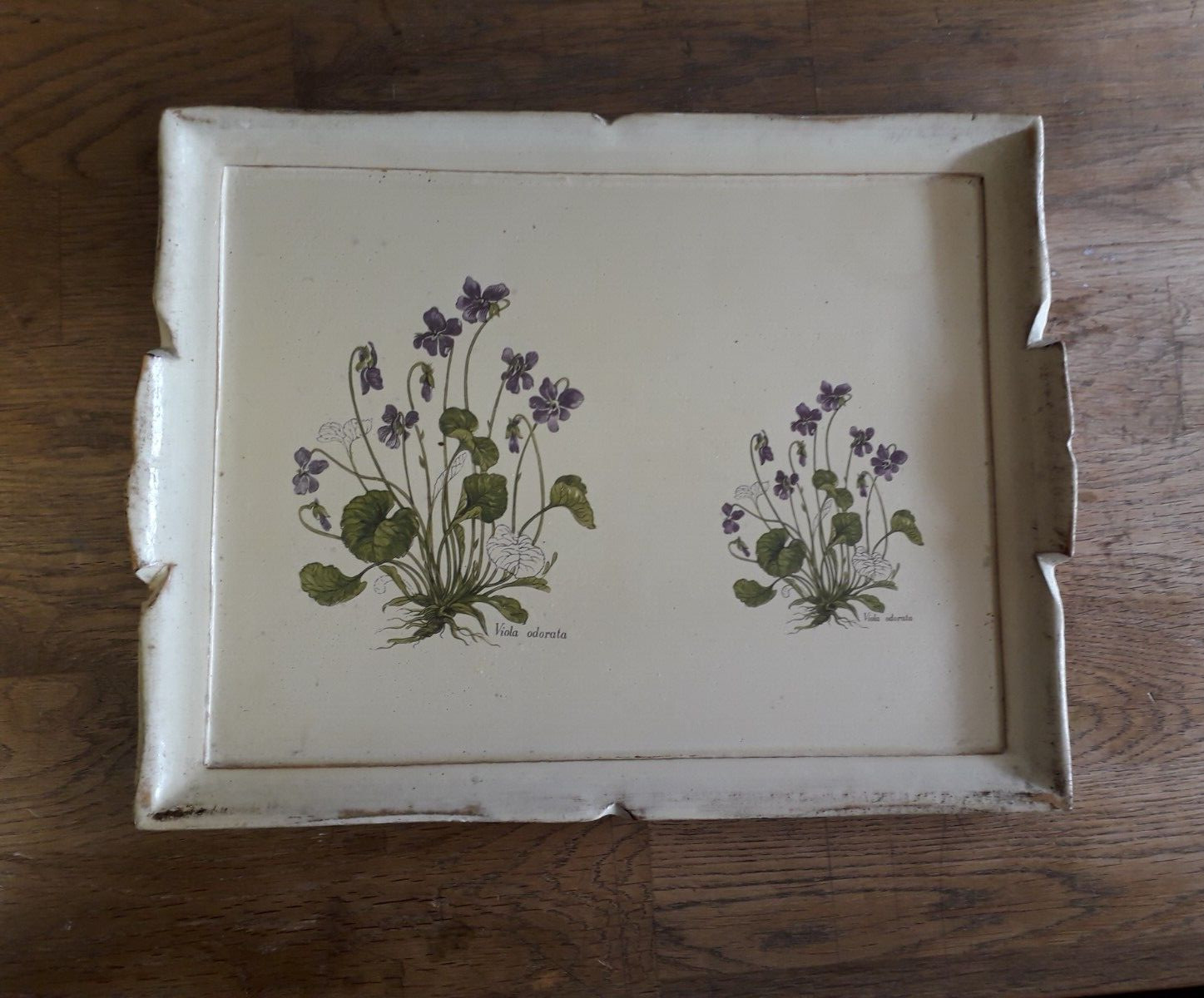 Vintage, Italienisches Holztablett, mit Pflanzendekor dekoriert 34 x 26cmx2,5